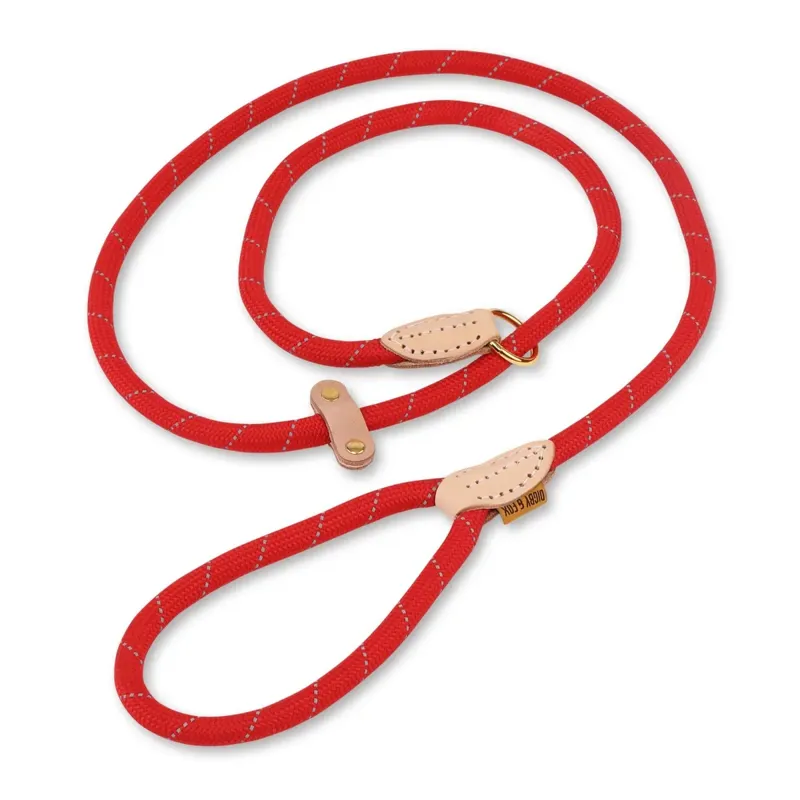 Digby and Fox Reflective Slip Dog Lead - Scarlett 